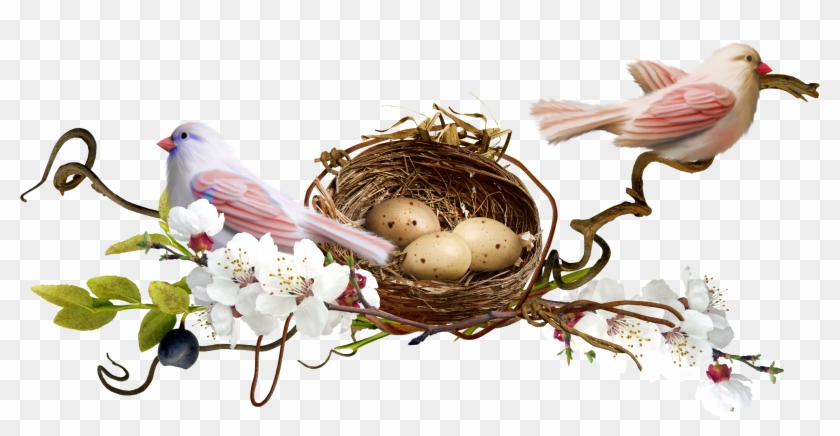 Bird Nest Clip Art - Tinypic #892698