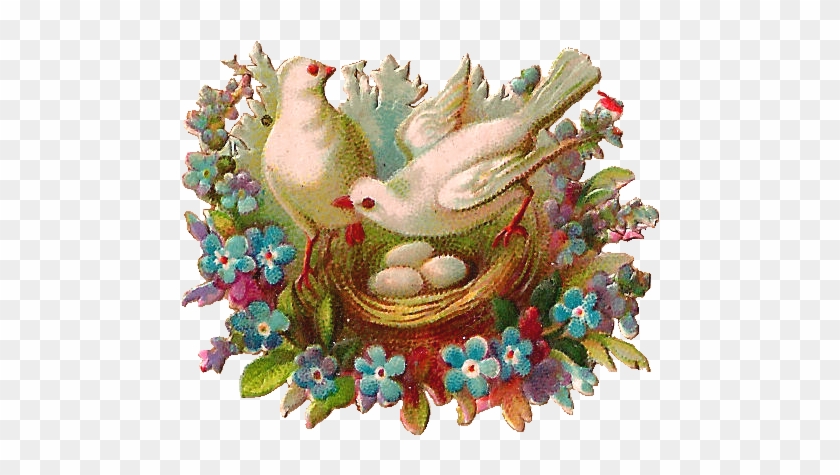 What A Sweet Bird Image Of Two Doves With Their Nest - Free Flower And Bird Clip Art #892700