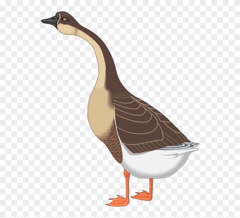 Goose Clipart Farm Animal - Geese Clipart #892702