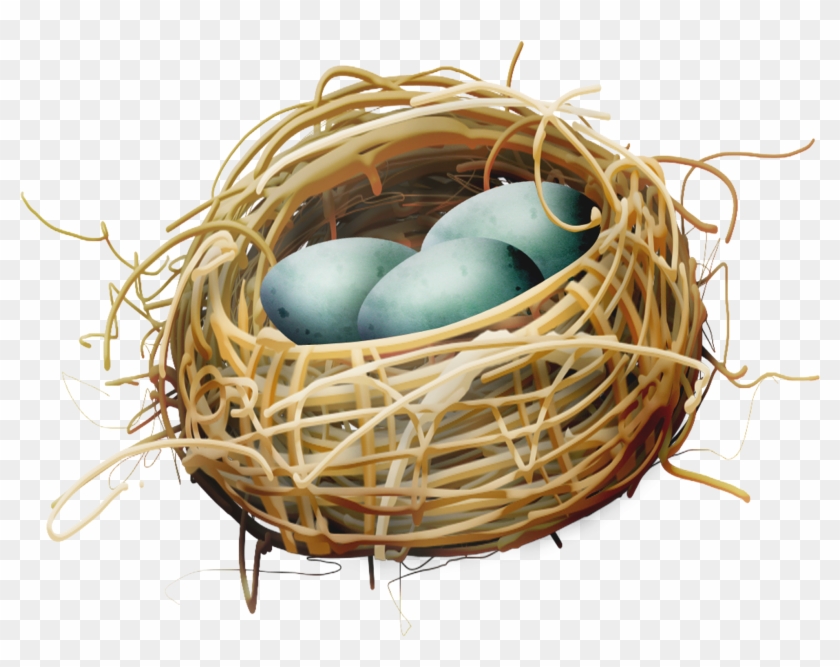 Bird Nest Egg - Bird Nest Clipart #892716