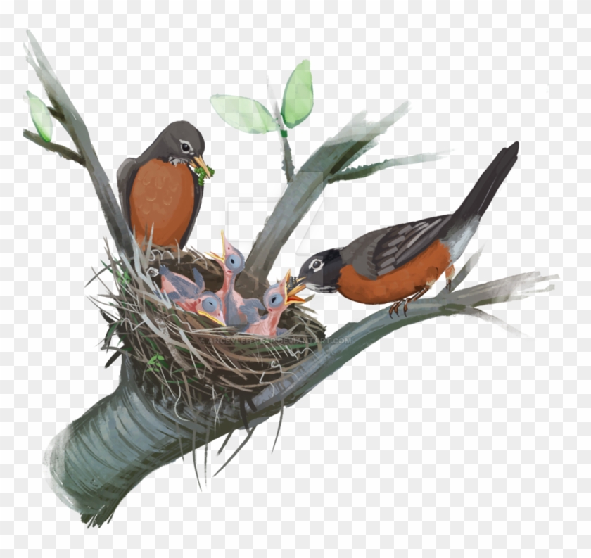 Robin's Nest By Anceylee-star - Lorikeet #892723