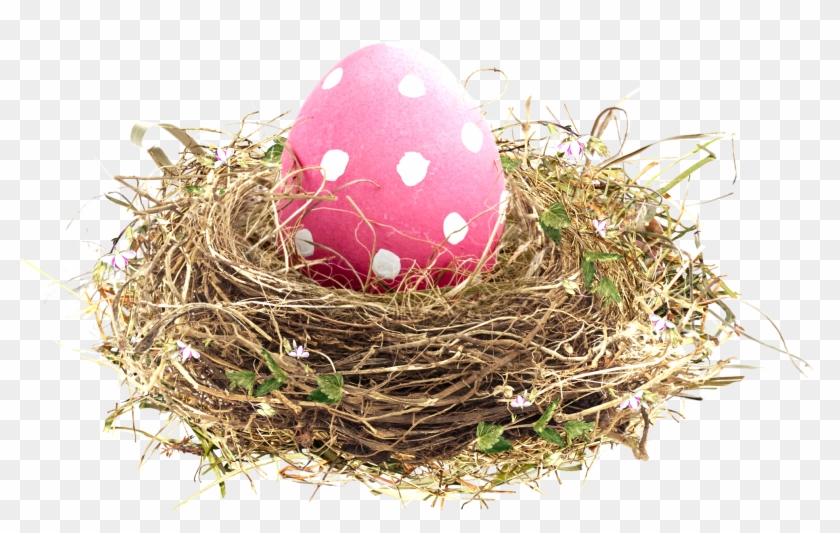 Bird Nest Easter - Birds Nest #892724