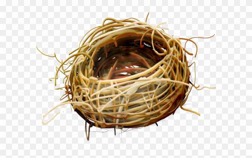 Birds Nests - Bird Nest Clipart #892746