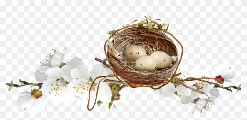 Birds Nests With Eggs - Joyeuses Pâques Transparent Png #892752