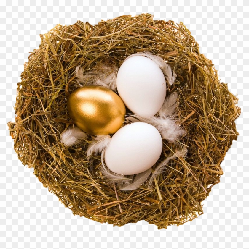 Quail Bird Nest Egg Bird Nest - Quail Bird Nest Egg Bird Nest #892802