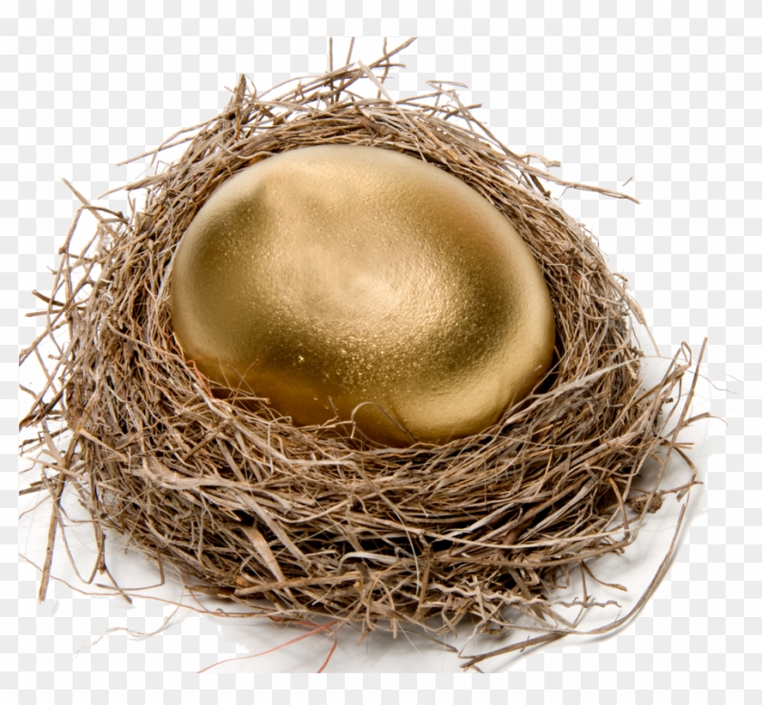 Chicken Easter Egg Nest Stock Photography - Bird Nest #892817