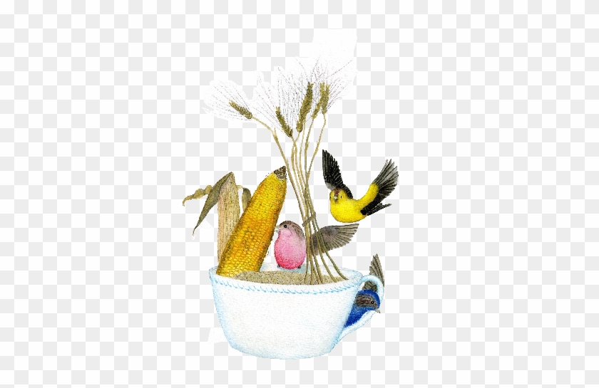 Add To - Bobolink #892834