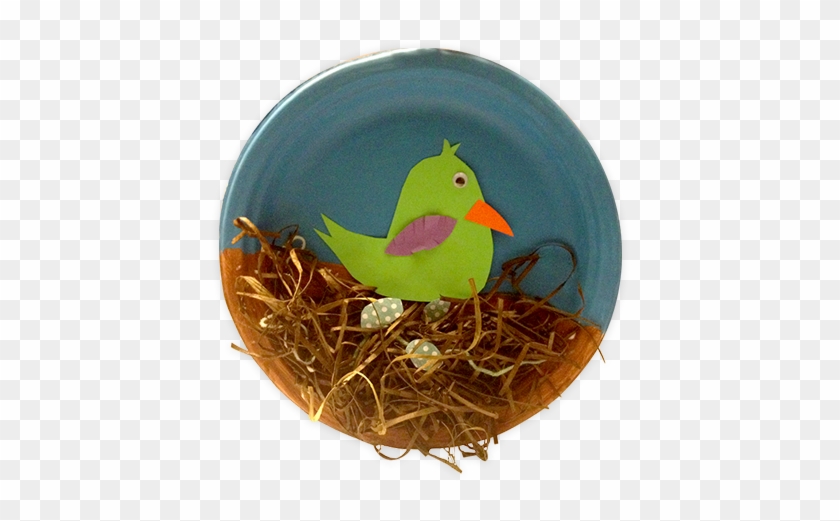 Bird's Nest - Art And Craft For Bird #892854