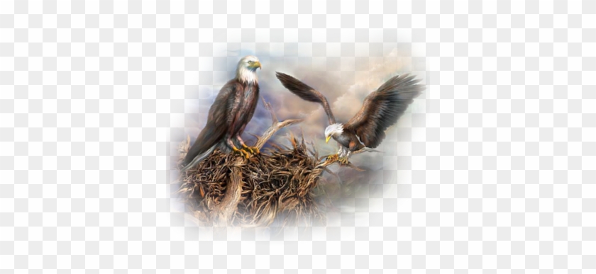 Nesting-eagles - Wwseven Cute Bird Diy Handmade Diamond Painting Set #892861