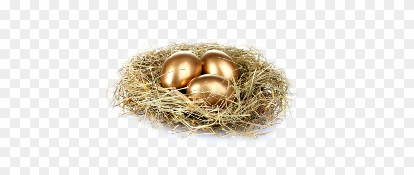 Full Control - Golden Eggs With Nest Logo - Free Transparent PNG Clipart  Images Download