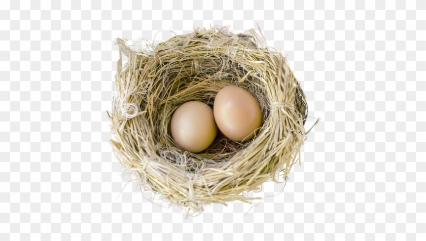 Bird Nest Png Transparent Image - Transparent Background Bird's Nest Png #892898