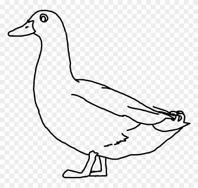 Duck Line Drawing - Duck Line Art Png #892919