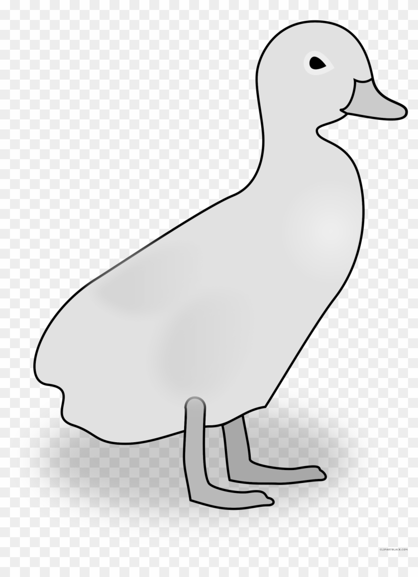 Duckling Black And White Clipart - Clip Art #892934