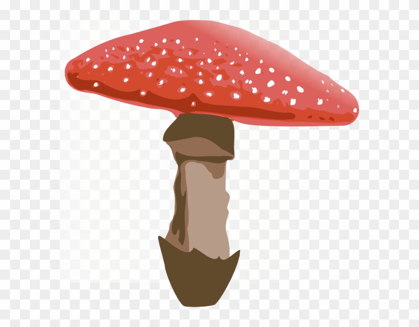 Clipart Best - Amanita Muscaria Png #892935