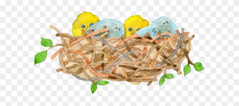 Easter Eggs In Birds Nests - Bird #892939