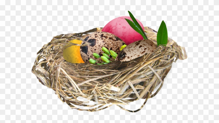 Easter Eggs In Birds Nests - Carte Des Tube Paysage De Paques #892946