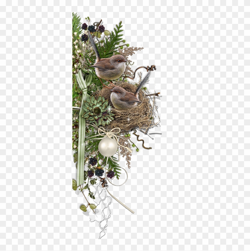 Birds Nests - Scrapbooking #892967