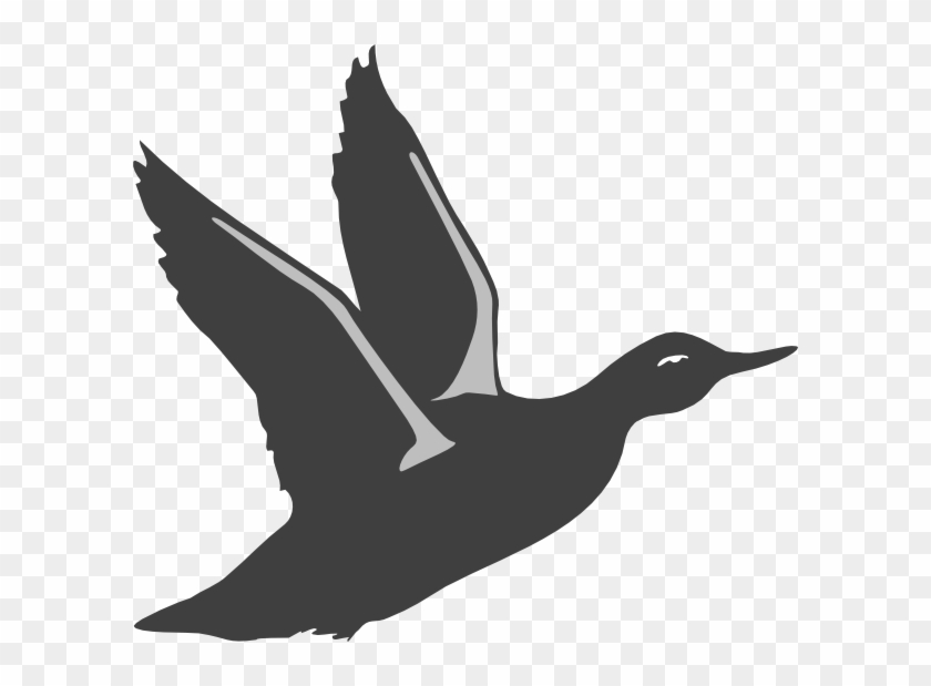 Duck Silhouette Taking Off Clip Art At Clker Com Vector - Flying Duck Silhouette Png #893024