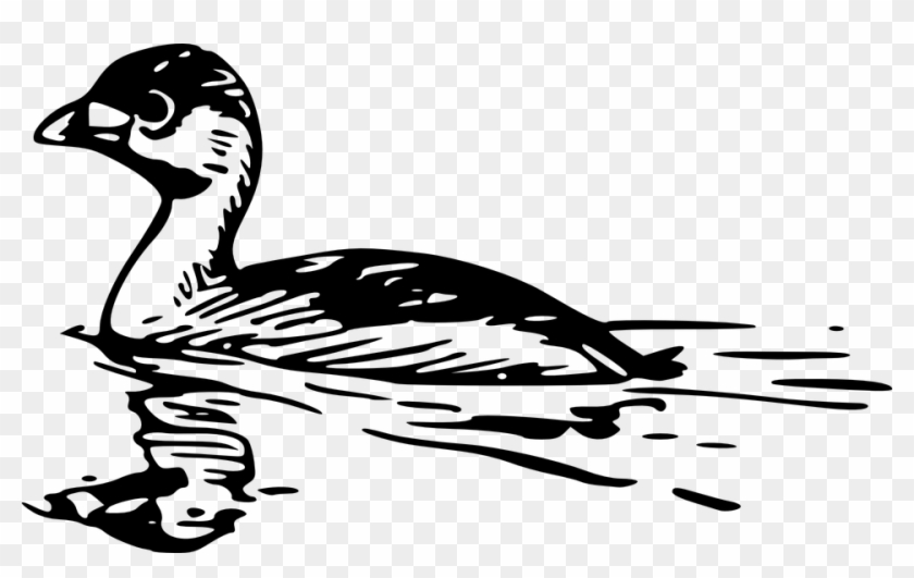 Bird Water Clipart Black And White - Water Reflection Transparent Art #893031