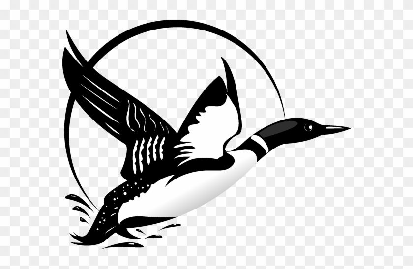 Loon Clip Art - Flying Loon Drawing #893048