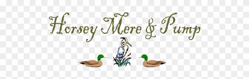 Title - 'merica Large Mug #893059