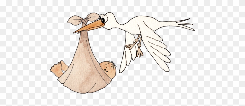 Storks Baby - Cartoon #893061