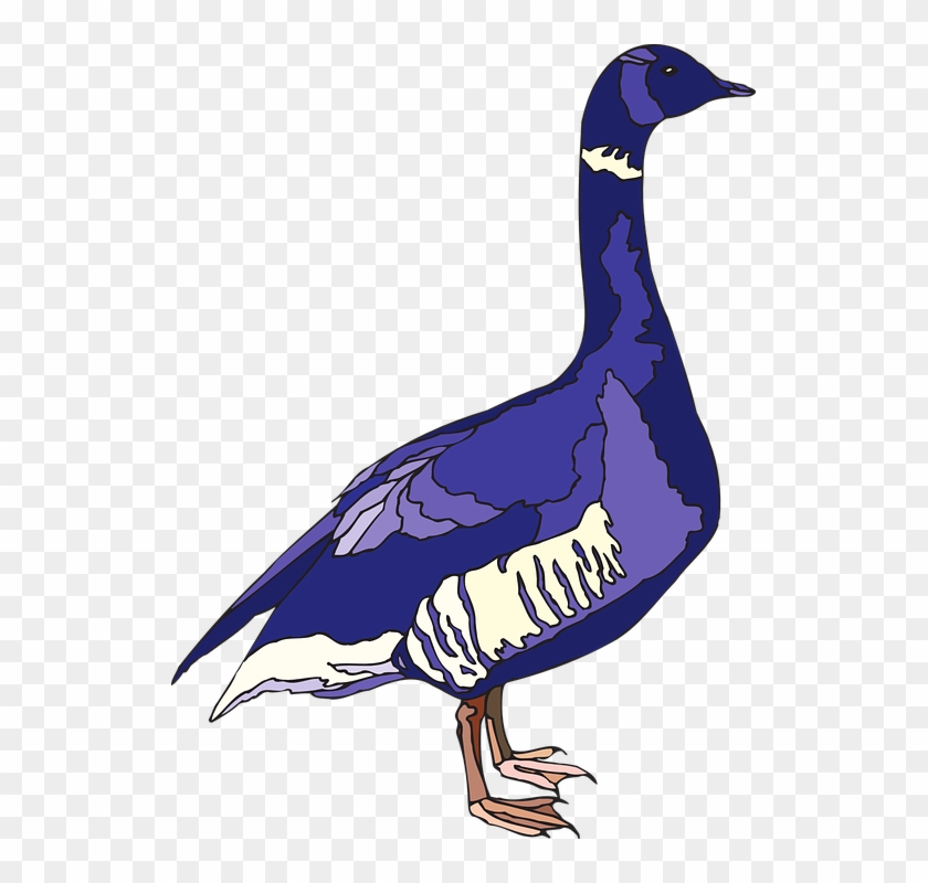 Duck Feathers Cliparts 16, Buy Clip Art - Purple Goose #893075