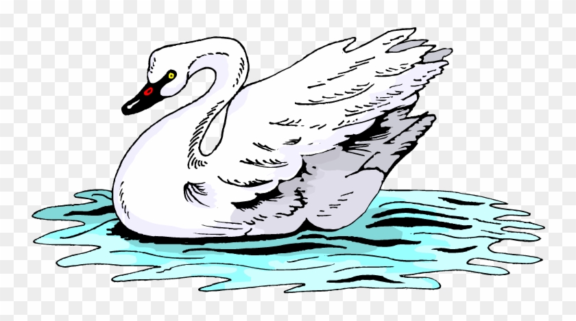 Swan On Water - ברבור דף צביעה #893100