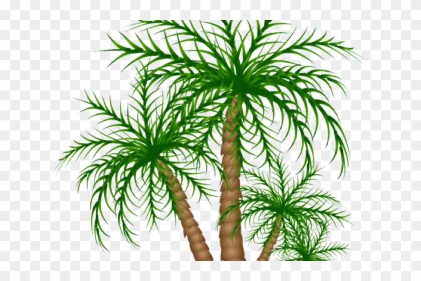 Date Palm Clipart Jurassic - Roystonea #893247
