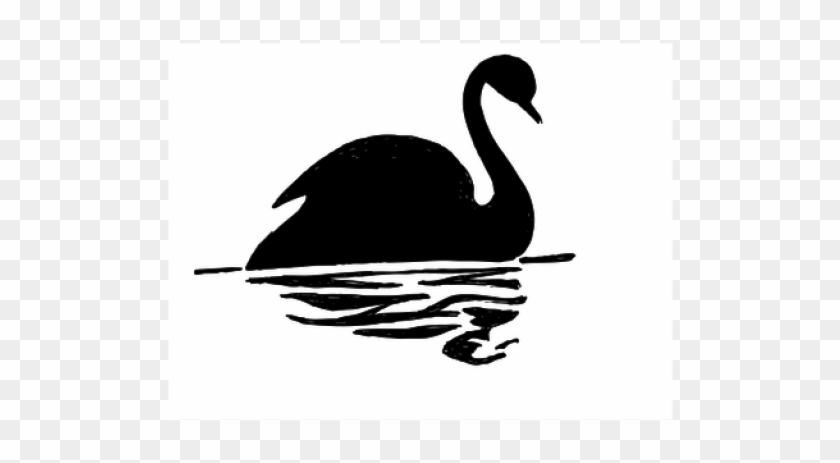 Black Swan Clipart Bird Shadow - Black Swan Silhouette #893268