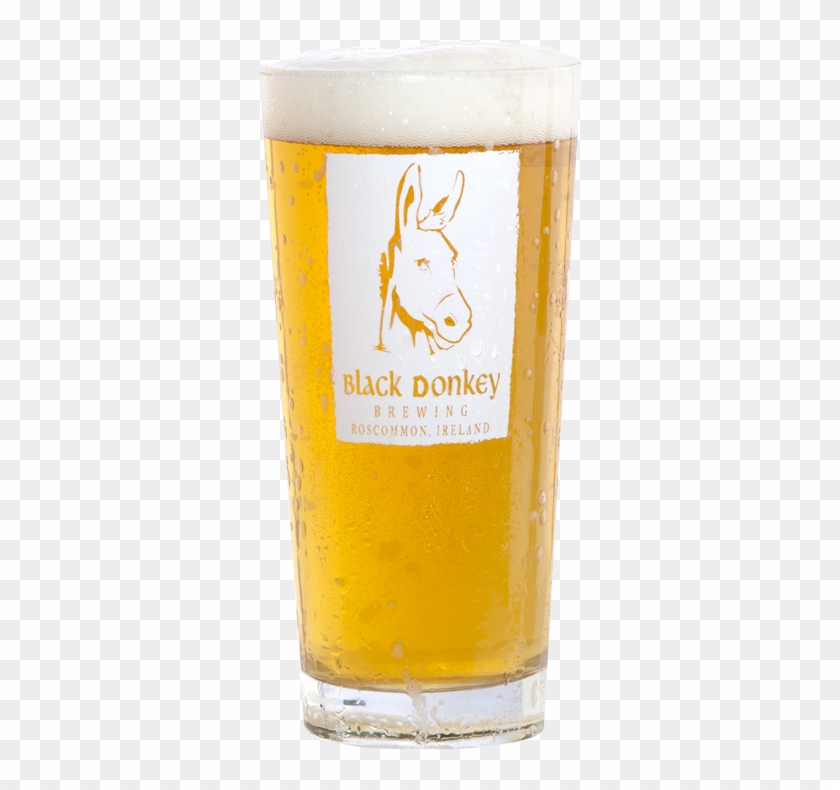 Beer Facts - - Donkey #893381