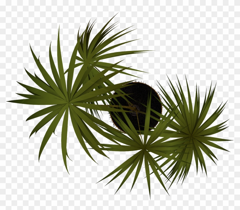 Tubos De Imagen - Plantas En Planta Png #893486