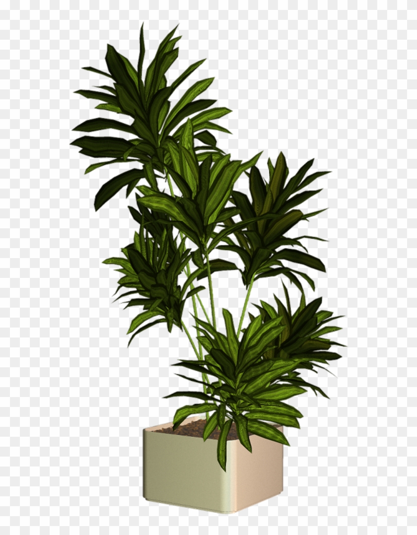 [ Img] - Plantas Png Para Photoshop #893490