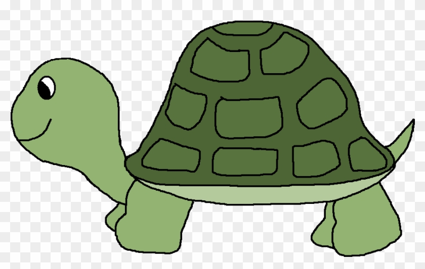 Turtle Clip Art Free Cartoon - Turtle Clipart Png #893501