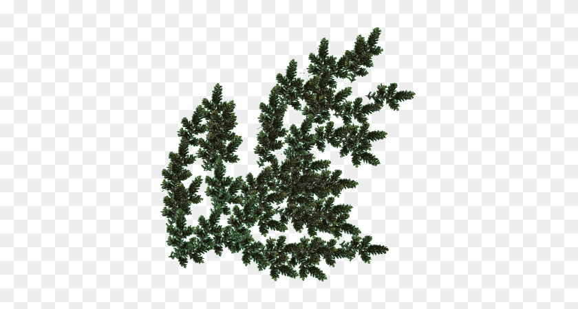 Arboles En Planta Png Arboles En Planta Png - Plantas Gif Png #893546