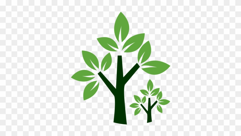 Plantas Almendro - Diamar - Plantitas Dibujo #893559