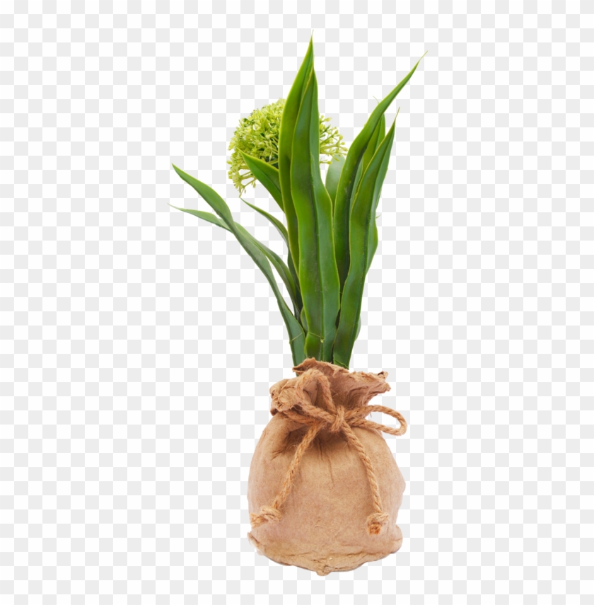 Bag Maceta Con Planta Artificial De Cartón Y Plástico - Flowerpot #893597