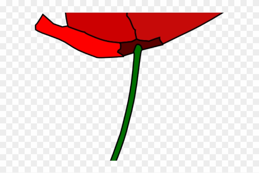 Poppy Clipart 4 Flower - Poppy Clipart 4 Flower #893631