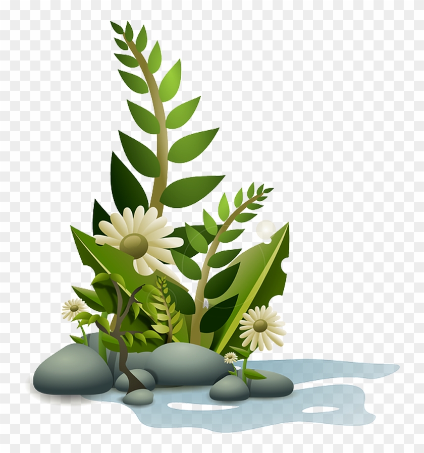 Planta Em Png Quero Imagem - Cartoon Plant Png #893664