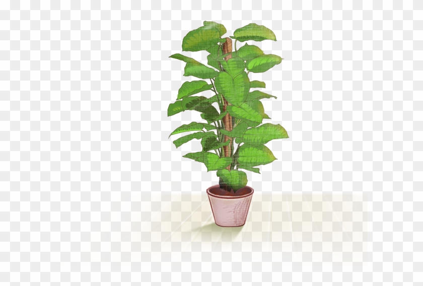 Plantas De Plastico Para Decoracion - Big Plants #893705