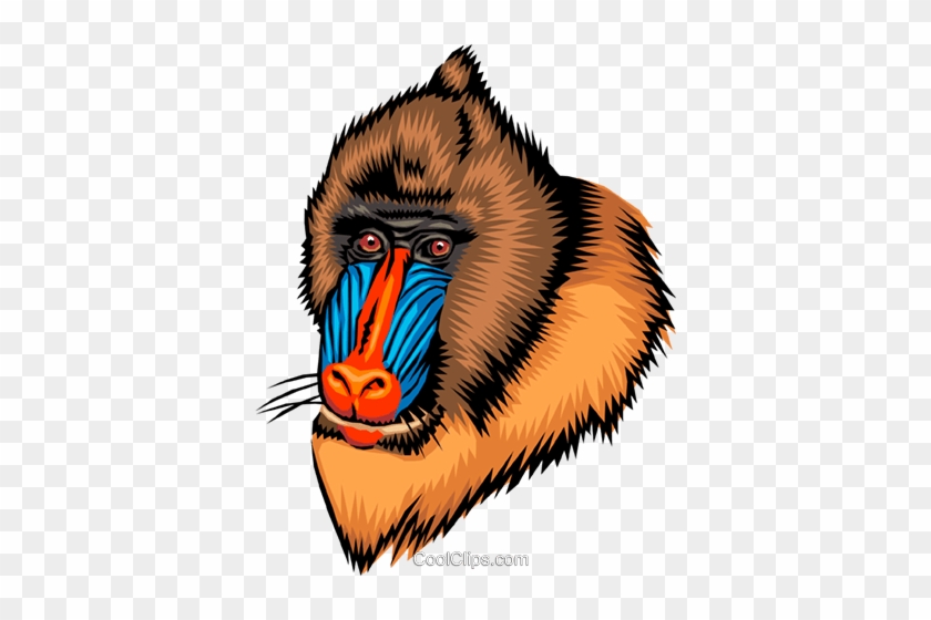 Mandrill Clipart Png - Palabras Con Ga Go Gu #893710