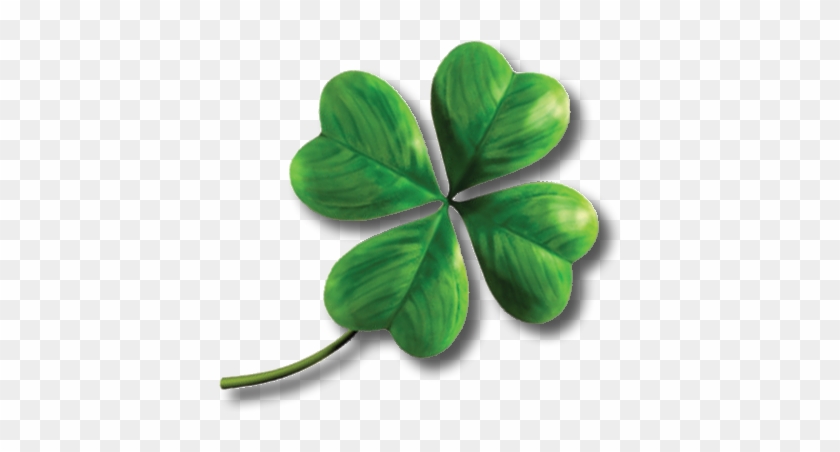 Shamrock Four - Four Leaf Clover Transparent Background #893827