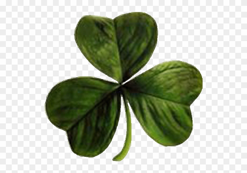 St Patrick's Day #893832