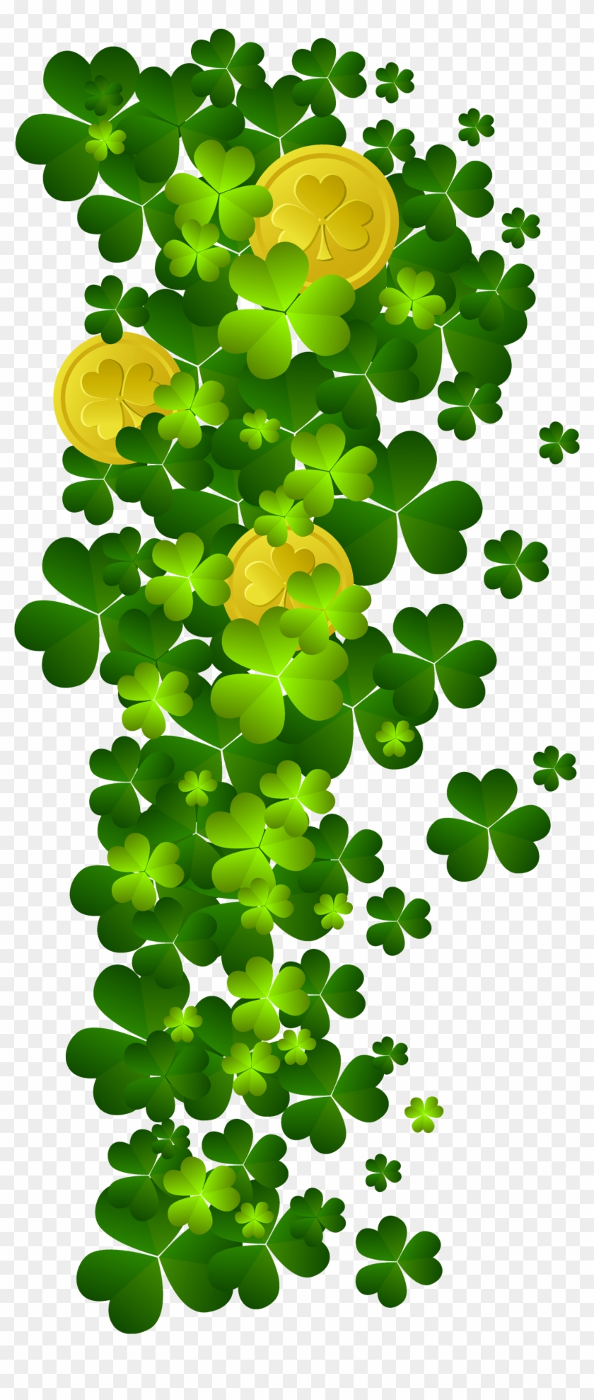 St Patricks Shamrock St Patricks Shamrock 27 With Coins - Gold Coins St Patricks Day Png #893915