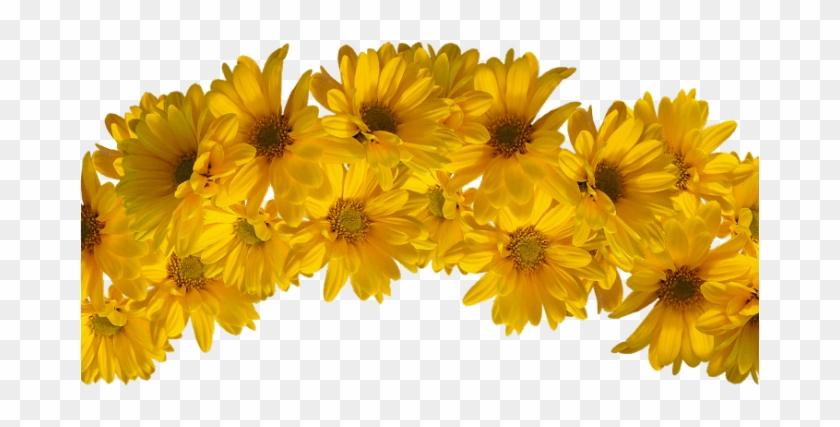 Yellow Transparent Flower Crown Download - Yellow Flower Crown Transparent #894129