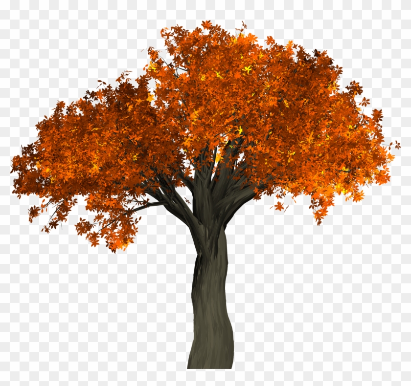 This High Quality Free Png Image Without Any Background - Autumn Tree Png #894229