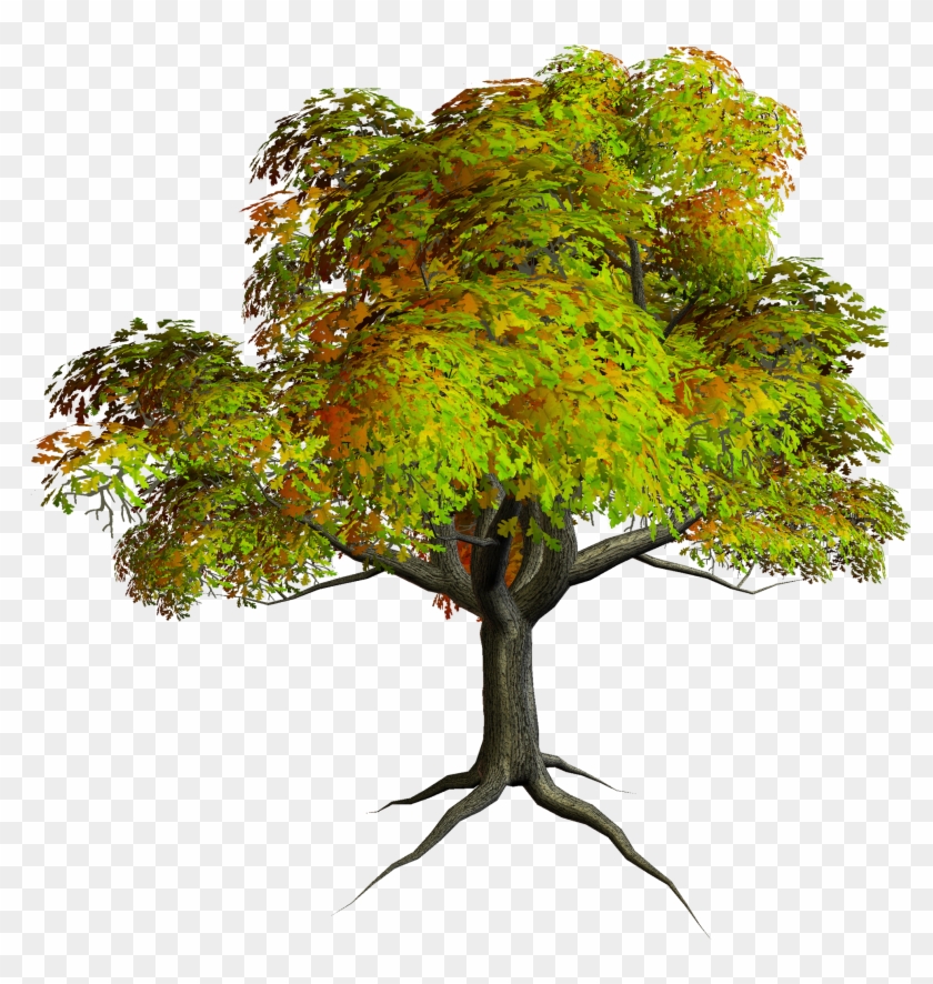 Autumn Png Tree Clipart - Cb Edits Tree Png #894246