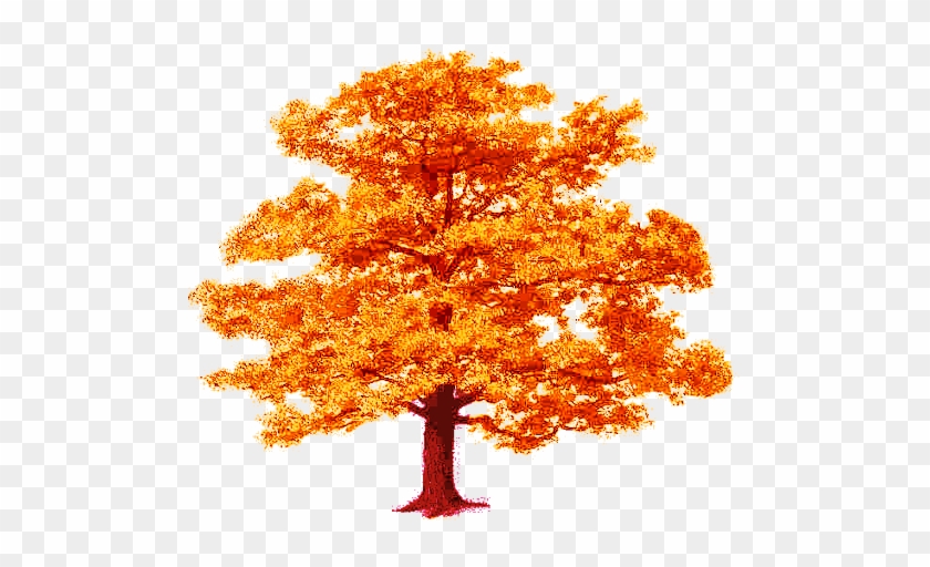 Tree Fall Leaves Dar - Oak Tree Clip Art #894255