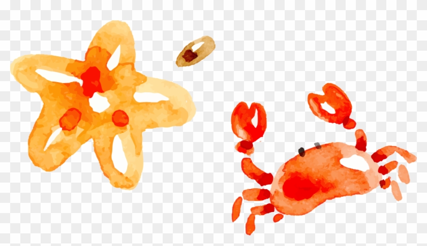 Crab Watercolor Painting - Starfish Watercolor Free #894339