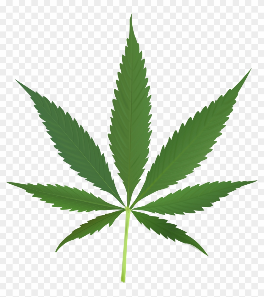 Does Marijuana Make You More Creative - Cannabis Leaf #894362